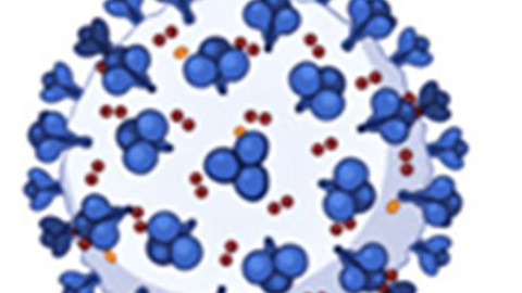 Virus